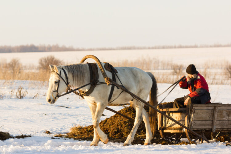 Build a HorseDrawn Work Sled Mother Earth News
